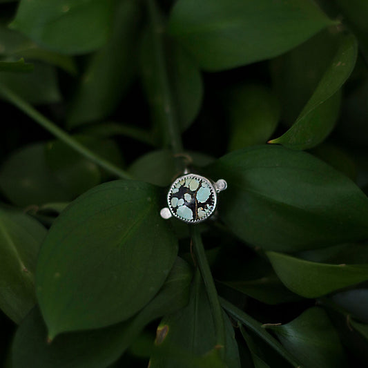Guardian aura ring