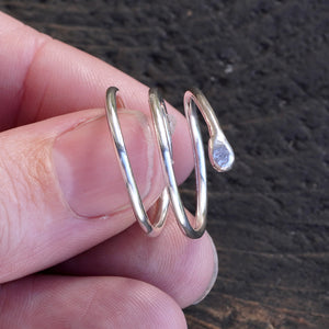 Leviathan ring