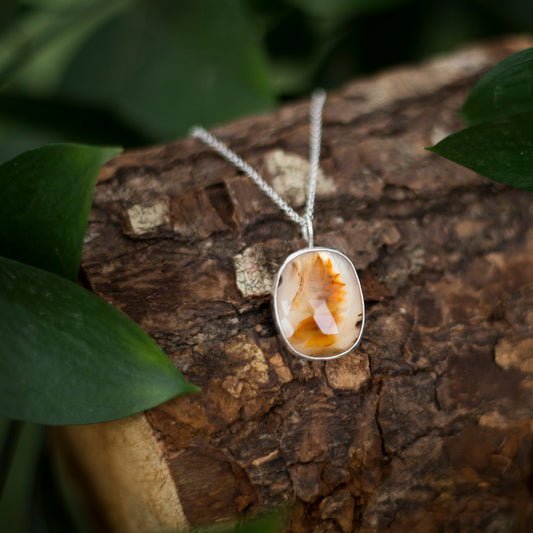 Montana Agate pendant