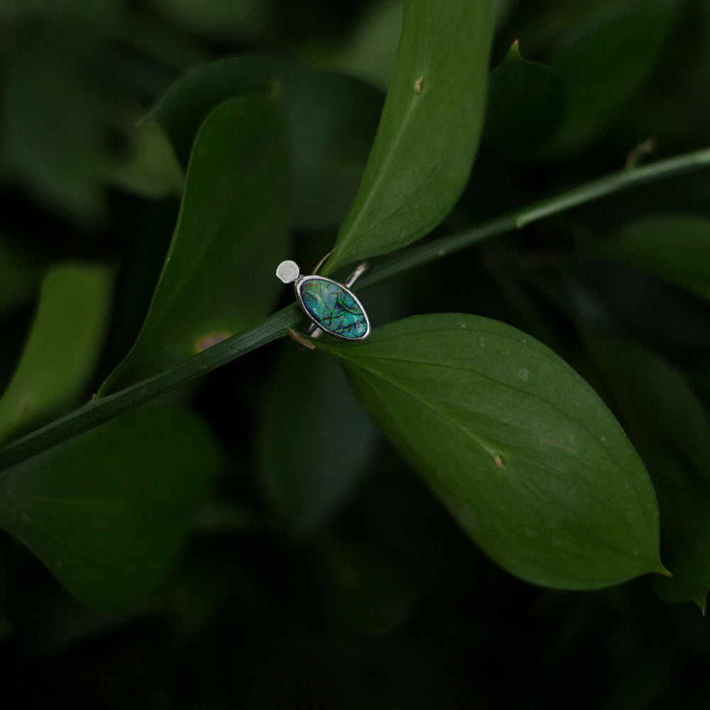 Pixie ring