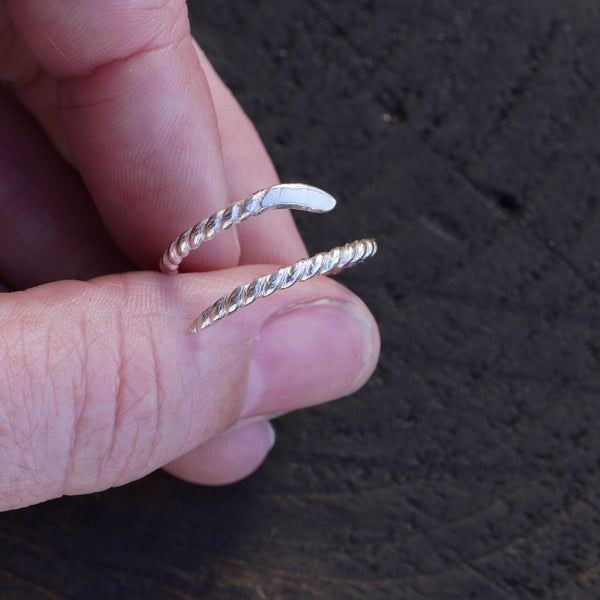 Simple Leviathan twist ring