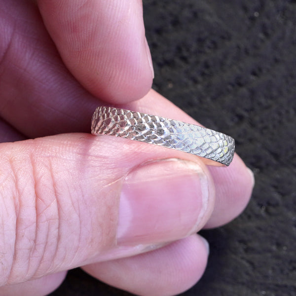 Scale ring