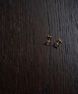 14k Gold fill circle studs