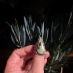 Lodestar ring - Wild Horse Turquoise